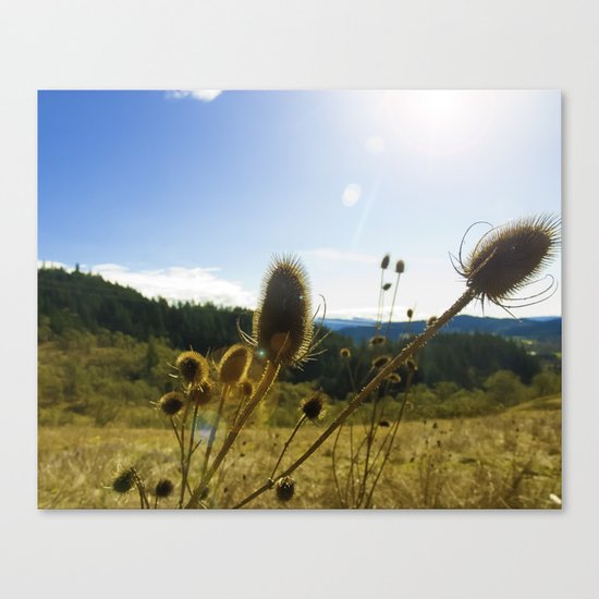 Colorful Winter Day Canvas Print