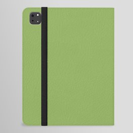 Color Green iPad Folio Case