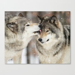 Wolf Kisses Canvas Print