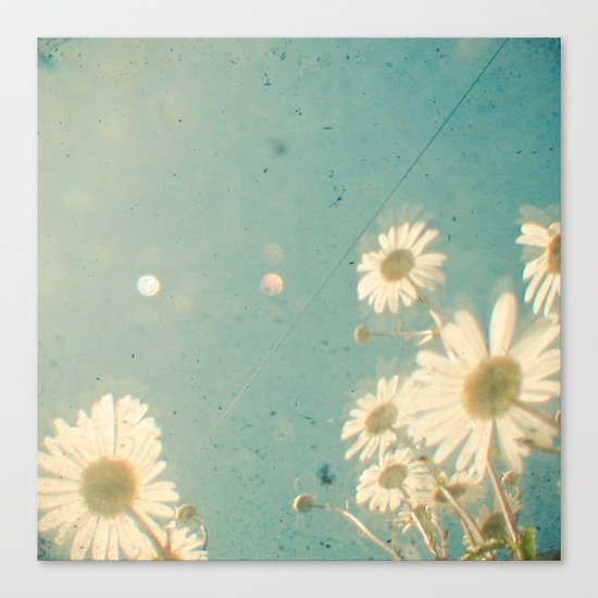 Daydream Canvas Print