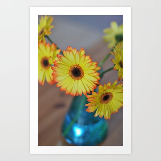 Daisies Art Print