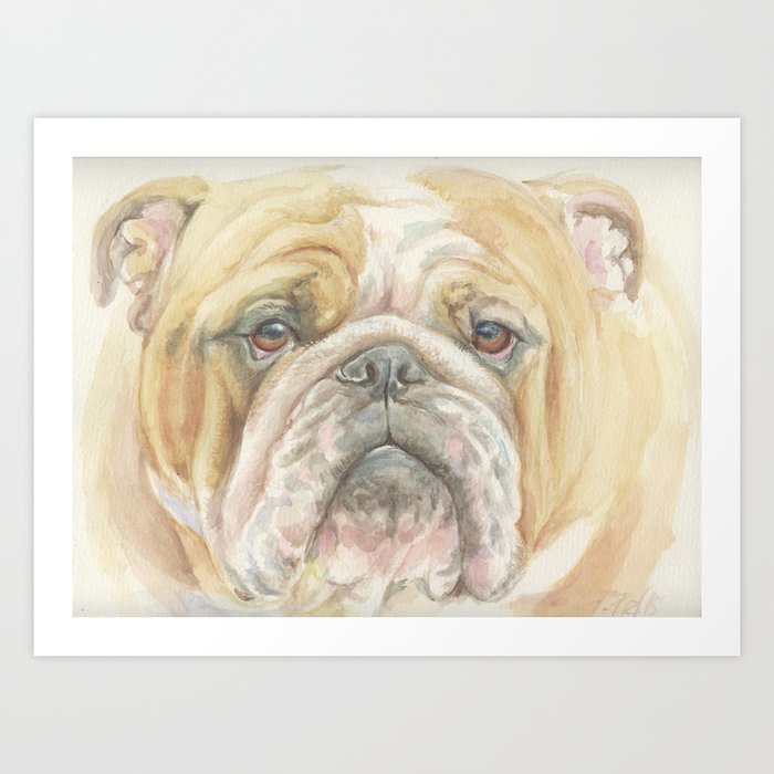 Bully ENGLISH BULLDOG FACE Dog portrait Watercolor painting  Cute Pet decor for Dog Lover Art Print