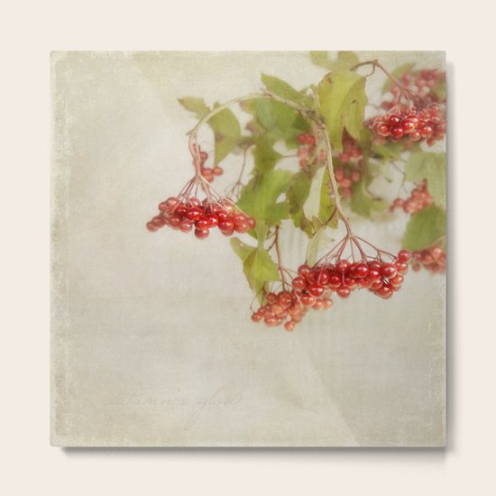 autumn's glow Metal Print