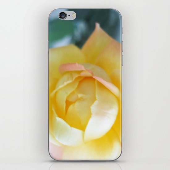 Yellow Rose iPhone & iPod Skin