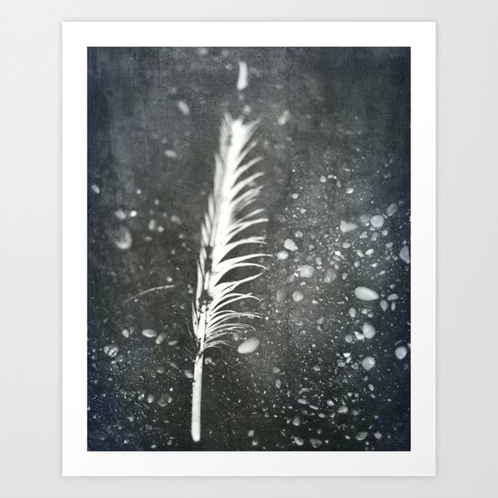 Feather on Black Sand Beach Art Print