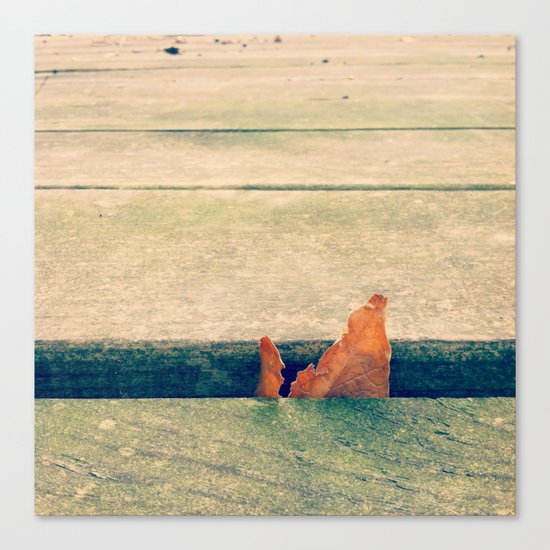 Lone Leaf Canvas Print