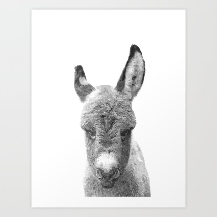 Black And White Baby Donkey Art Print By Alemi Society6