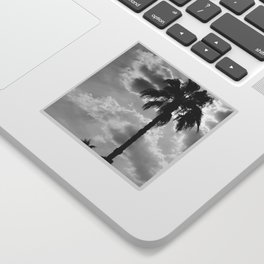 Palm Trees In Black And White Sticker