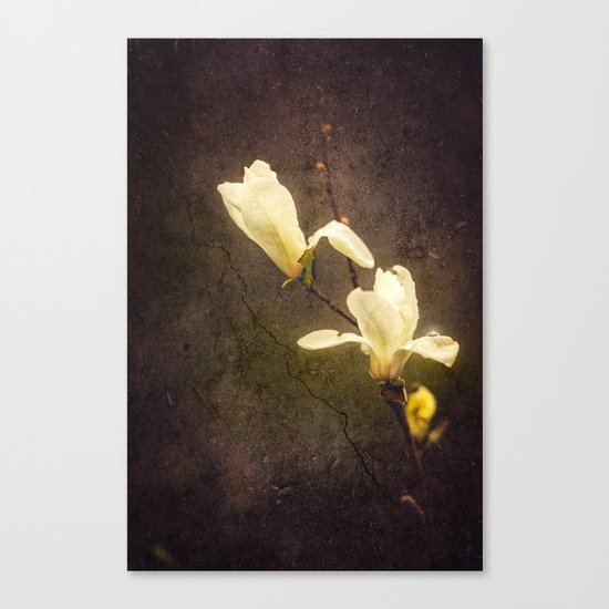 Dusty Canvas Print