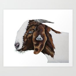 Goat Painting Art Print