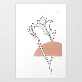 Flower Drawing Art Print