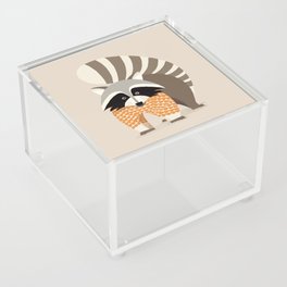 Whimsical Raccoon Acrylic Box