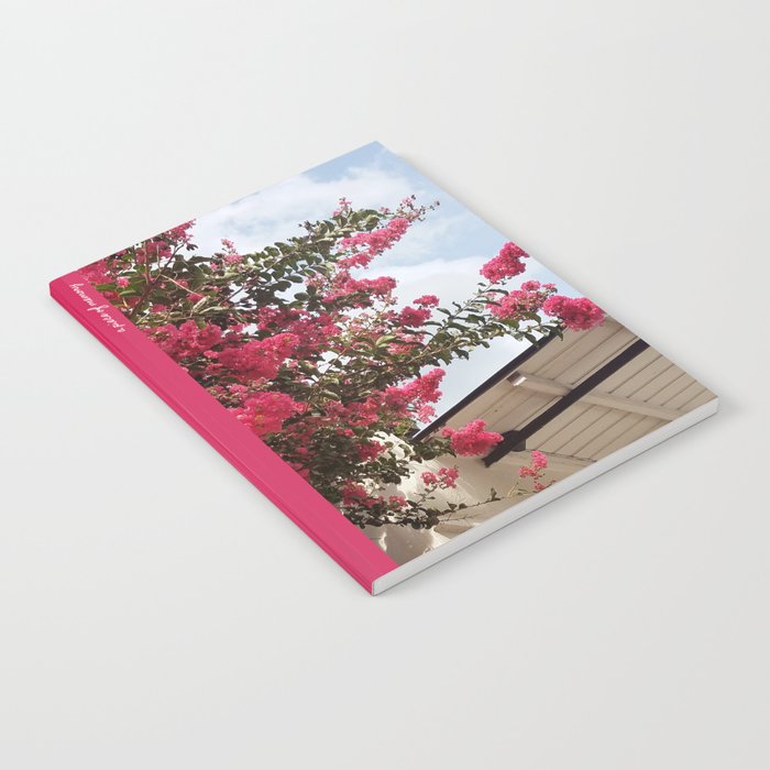 Pink Crepe Myrtle Tree | Pink Flowers In Full Bloom Next To A Shotgun House In New Orleans Notebook
