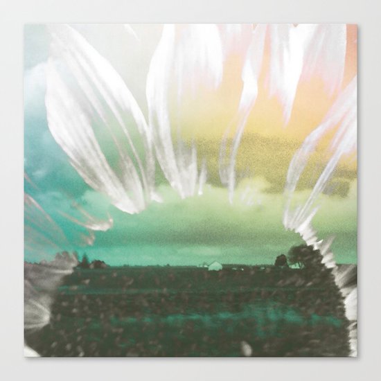Sundown Canvas Print