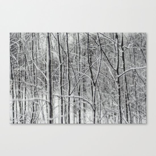 Winter gris Canvas Print