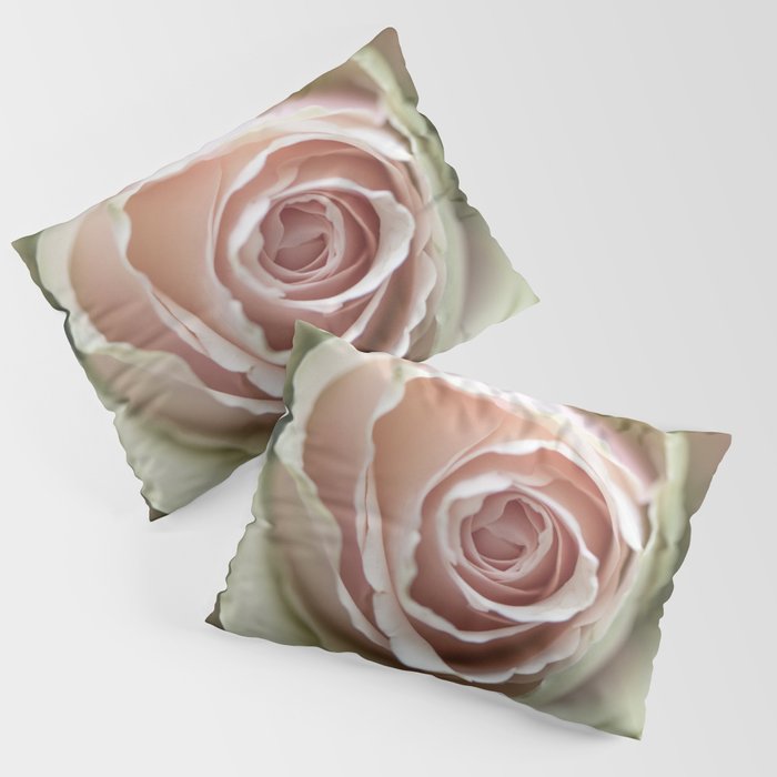 Floral blush pink rose - boho flower - nature and travel photography Pillow Sham