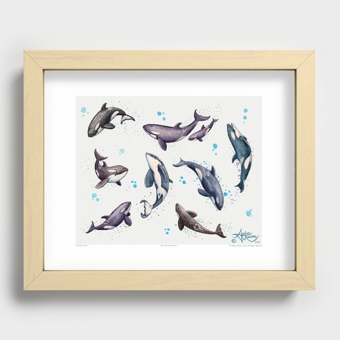 "Orca Pod in Watercolor" by Amber Marine, Killer Whale Art, © 2019 Recessed Framed Print