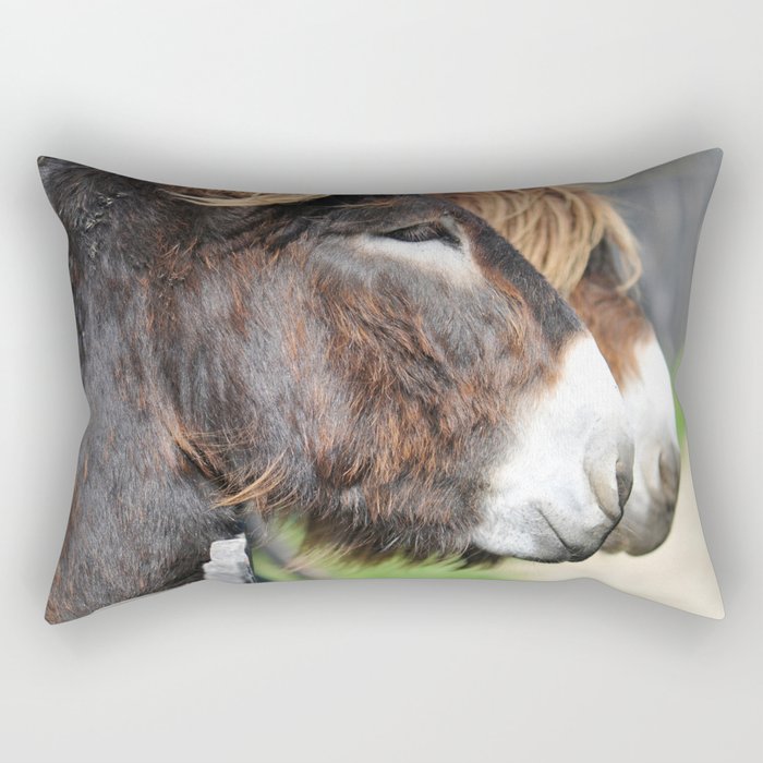 burros Rectangular Pillow
