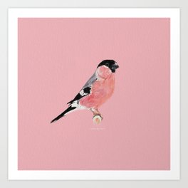 Siberian Bullfinch (rose palette) Art Print