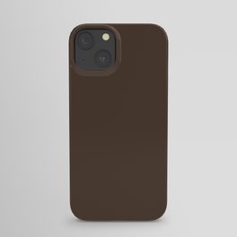 Craquelure Brown iPhone Case