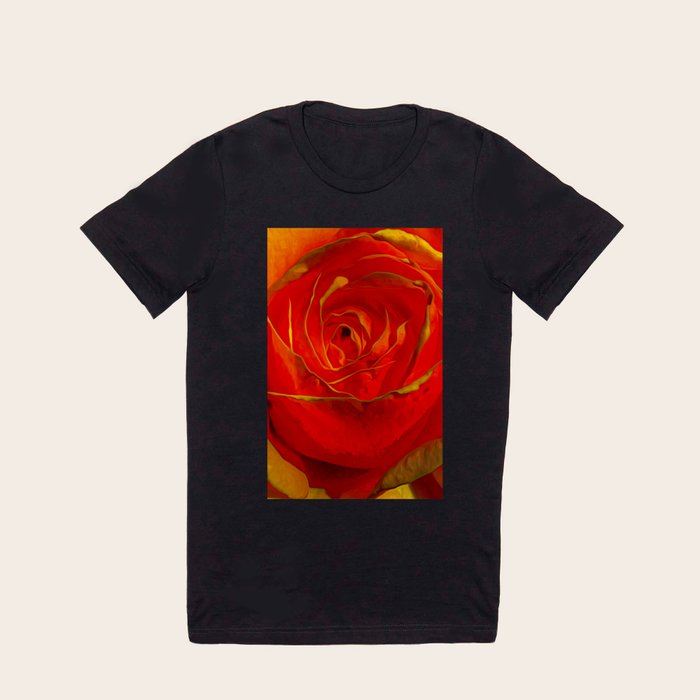 Amber hotsell rose shirt
