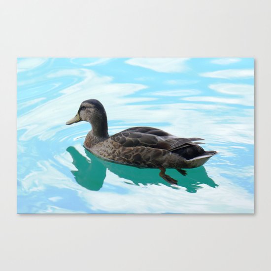 duck and lake Canvas Print