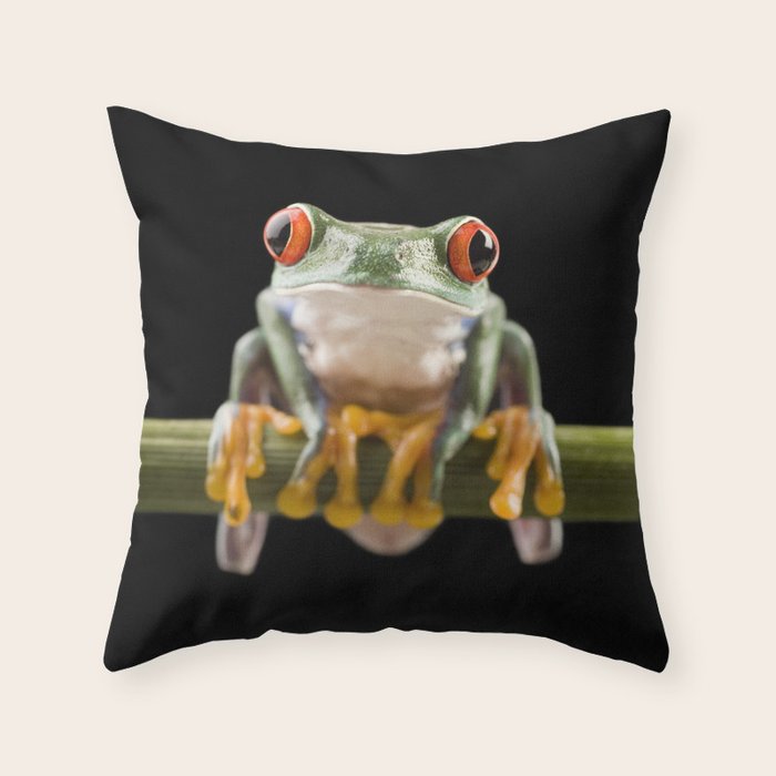 Red Eyed Green Tree Frog Sitting on Branch - Minimal Animal / Wildlife / Nature Photograph Throw Pillow and More