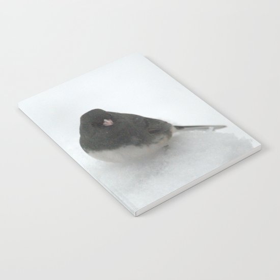 Snow Bird (Dark-eyed Junco) Notebook