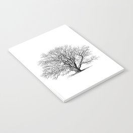 oak tree botanical no2 Notebook