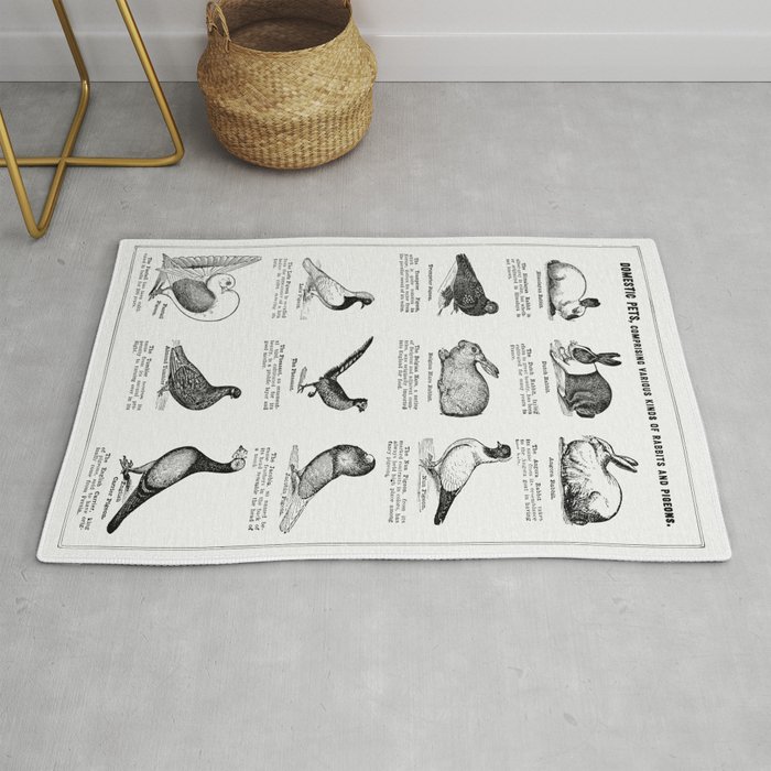 Domestic Pet (The Open Door to Independence) Rug