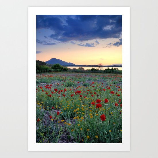 Red Poppies. Sunset at the lake Art Print