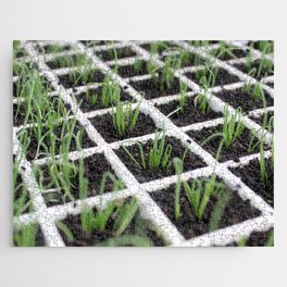 Brazil Photography - Tons Of Planted Chives Jigsaw Puzzle