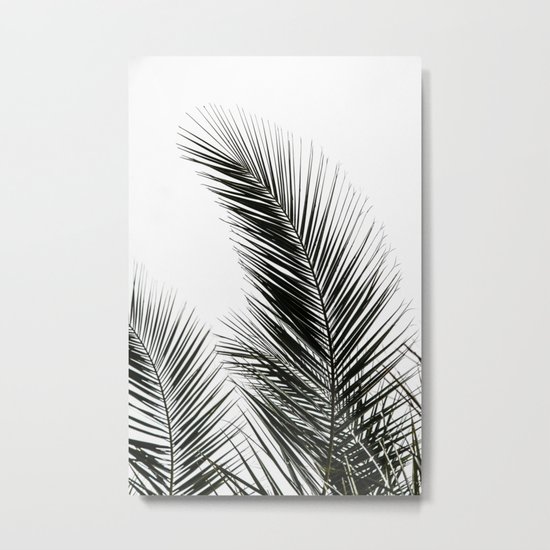 Palm Leaves Metal Print