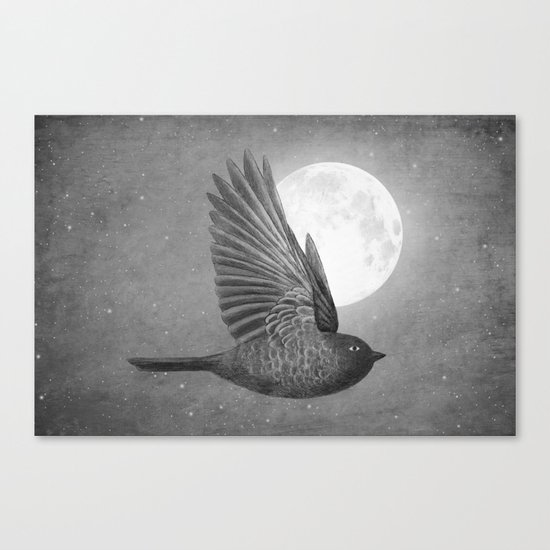 Night Bird Canvas Print