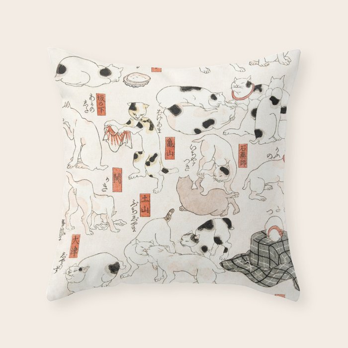 Throw Pillow