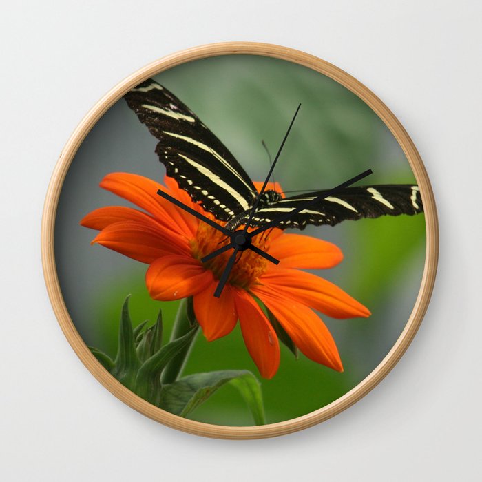 Zebra Longwing Butterfly Wall Clock