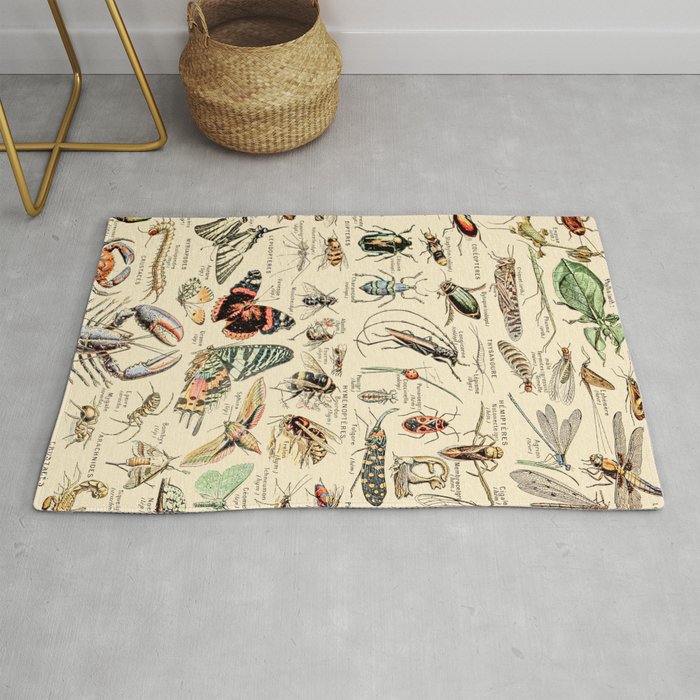 Vintage Insect Identification Chart // Arthropodes by Adolphe Millot XL 19th Century Science Artwork Rug