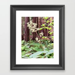 Summer little flower Framed Art Print