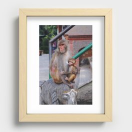 Monkey temple Recessed Framed Print