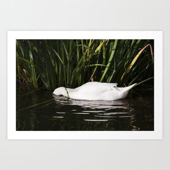 Sleep in the water Art Print