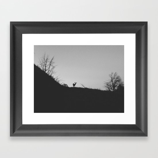 Cortez Deer Framed Art Print
