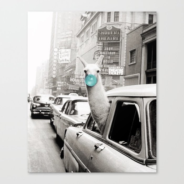 Mint Green Bubble Gum Llama taking a New York Taxi black and white photograph Canvas Print