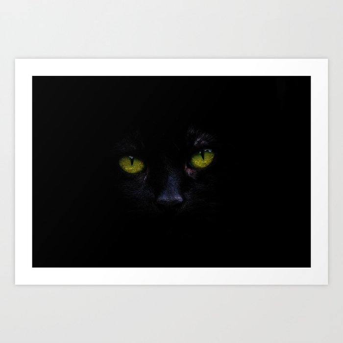 black cat painting face