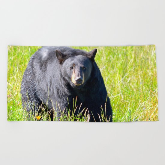 Alaskan Black Bear II Beach Towel