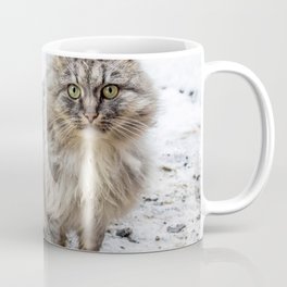 Big Domestic Cat Stay On Stree Coffee Mug