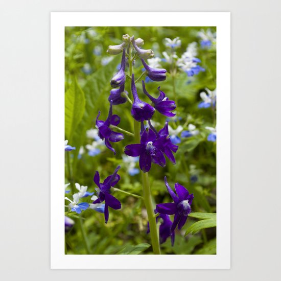 Spring IV Art Print