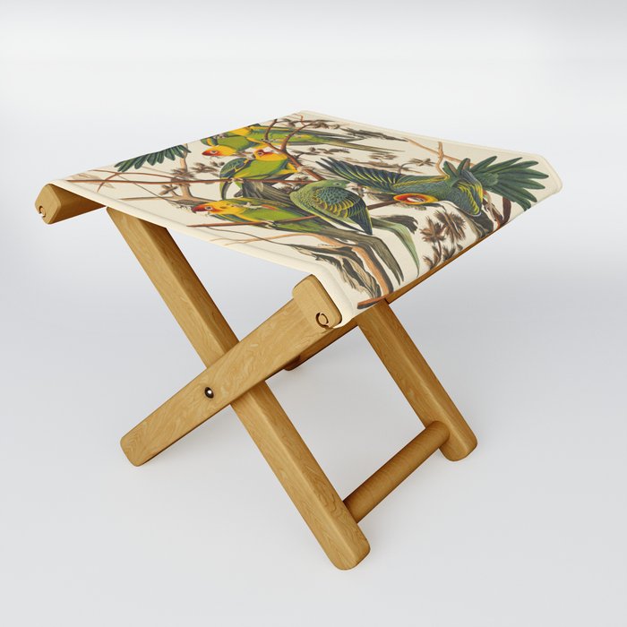 Vinatge Birds Carolina Parrot Folding Stool