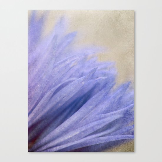 Cornflower Petals Canvas Print