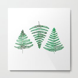 Fiordland Forest Ferns Metal Print