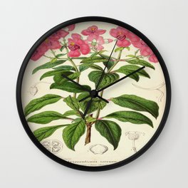 Heterocentron Roseum Vintage Botanical Floral Flower Plant Scientific Wall Clock